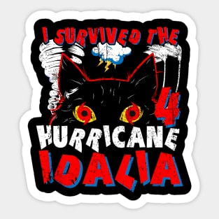 I survived the CAT 4 Hurricane Idalia Sticker